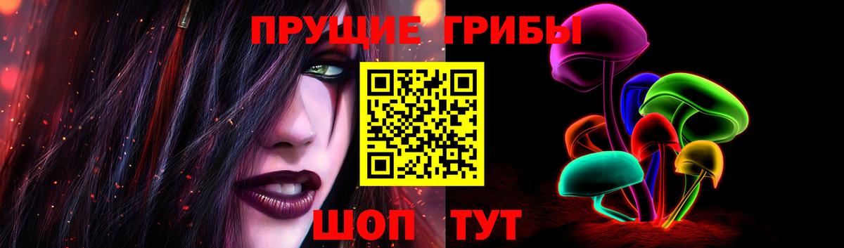 Галлюциногенные грибы Psilocybine cubensis Балашиха